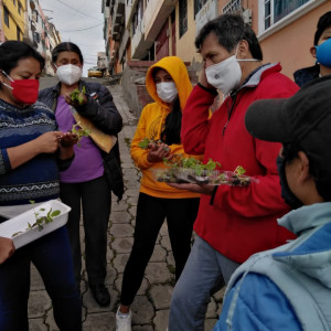 基多居民参加了生长蔬菜的研讨会。Maria Elvira Lopez'21协助这个项目。
