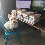 Kallie和她的狗Emmerson一起处理新的特色图书收藏。