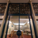 来自世界各地的收藏品被陈列在洛根博物馆一个被称为“立方体”的玻璃空间中进行研究。