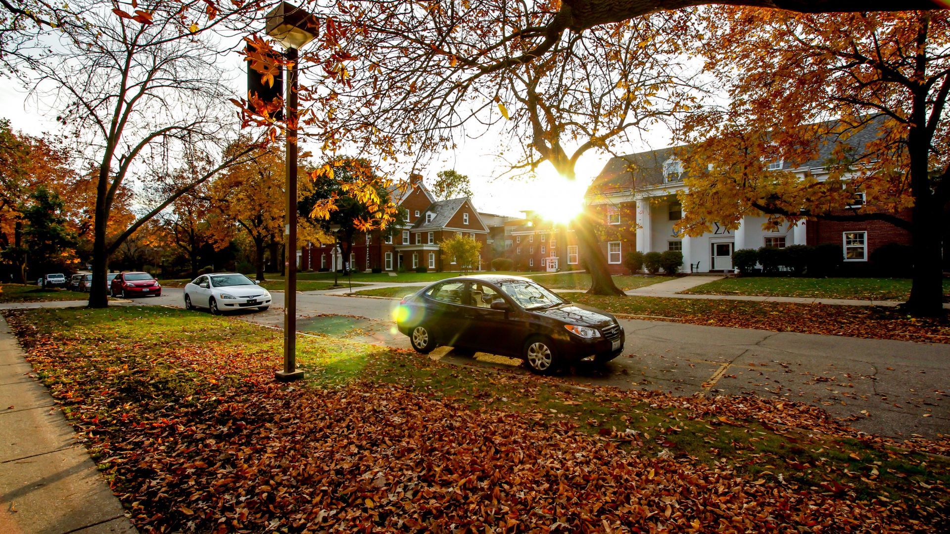 伯洛伊特学院校园学院街希腊房屋外的秋日色彩。