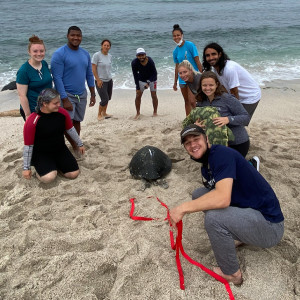 Garrison Ferone’23 at right, front after measuring, weighing, and checking the respiration of a sea turtle in the Galapagos.