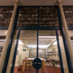 来自世界各地的收藏品被陈列在洛根博物馆一个被称为“立方体”的玻璃空间中进行研究。