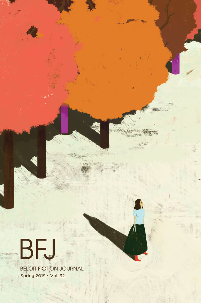 贝洛伊特小说杂志，第32卷，2019年的封面图片。