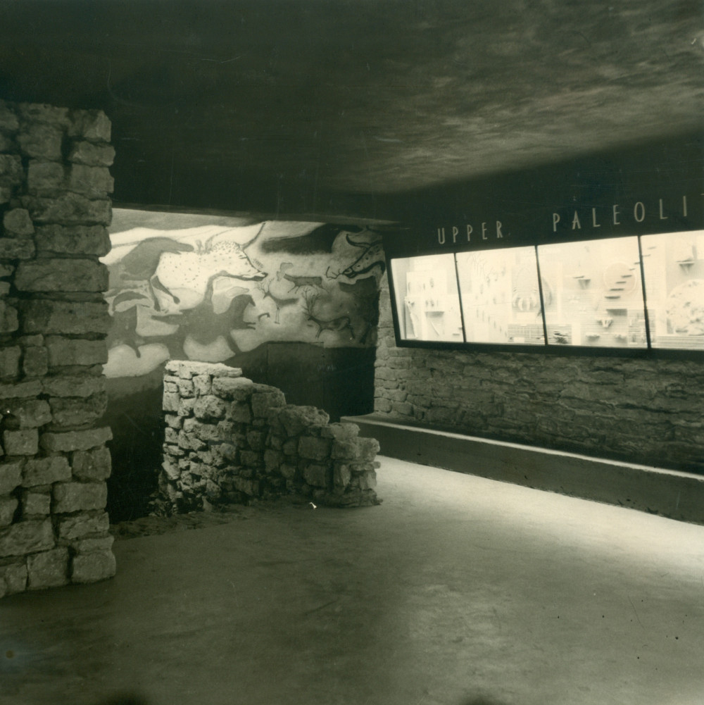 20世纪50年代，在洛根博物馆洞穴入口处增加了一个展览。