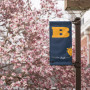 春天出现在Beloit的校园里，在漫长的冬天发出更新。